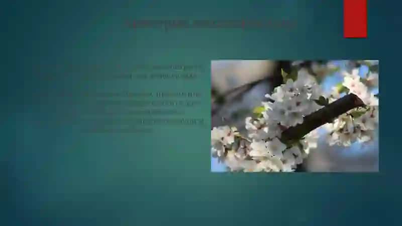 Классификация медиа 3