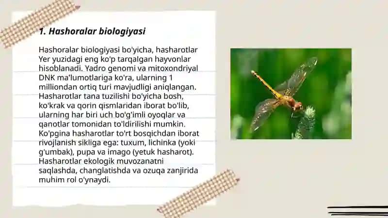 Hashoralar biologiyasi 3