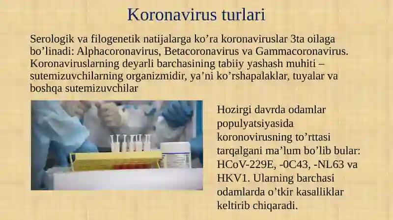 Koronavirusnidavolashusullari 3