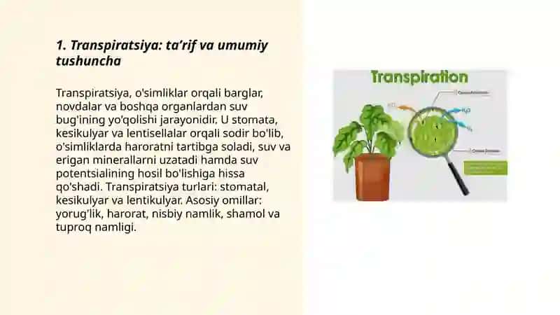 Transpiratsiyasi va uning ahamiyati 3