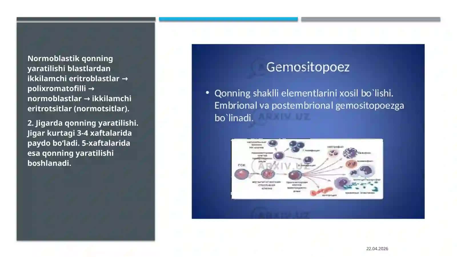 Gemotsitopoez jarayonining boshqariluvi 3