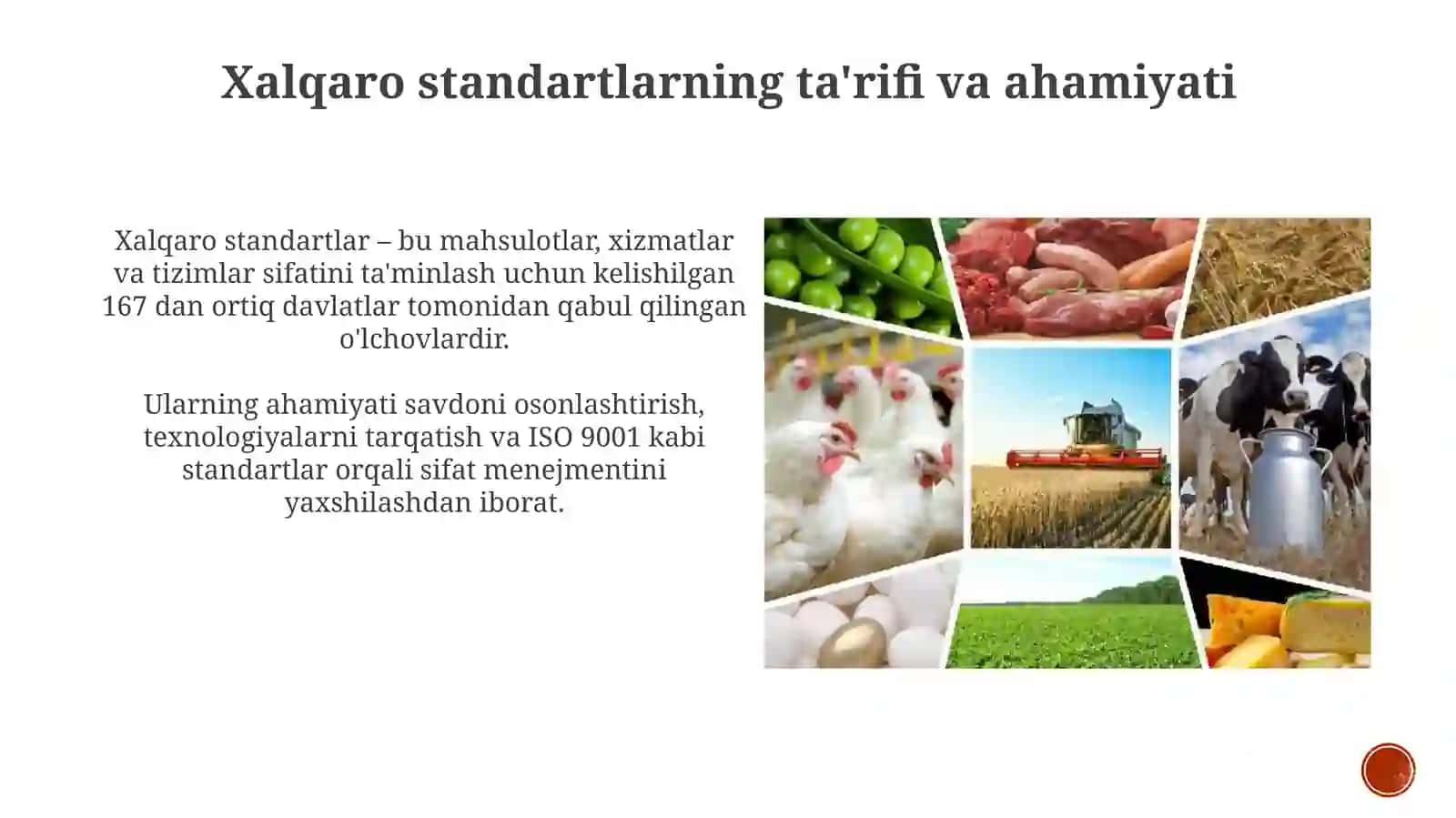 Xalqaro standartlarning qo'llanilishi 3