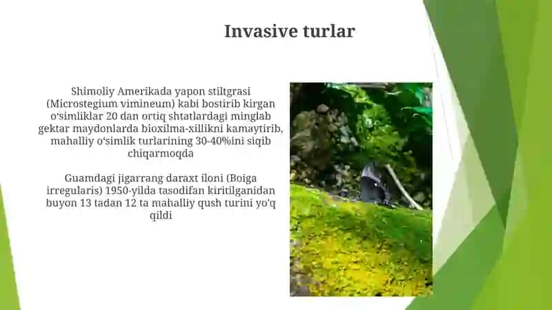 O'simlik va hayvonot olami 3