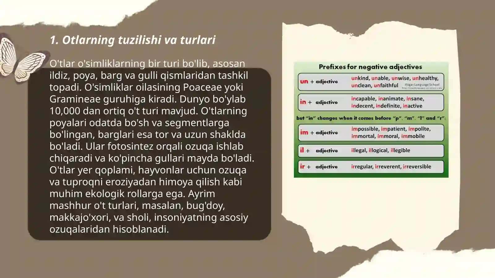 Otlarning egalik qoʻshimchalari bilan qoʻllanishi 3