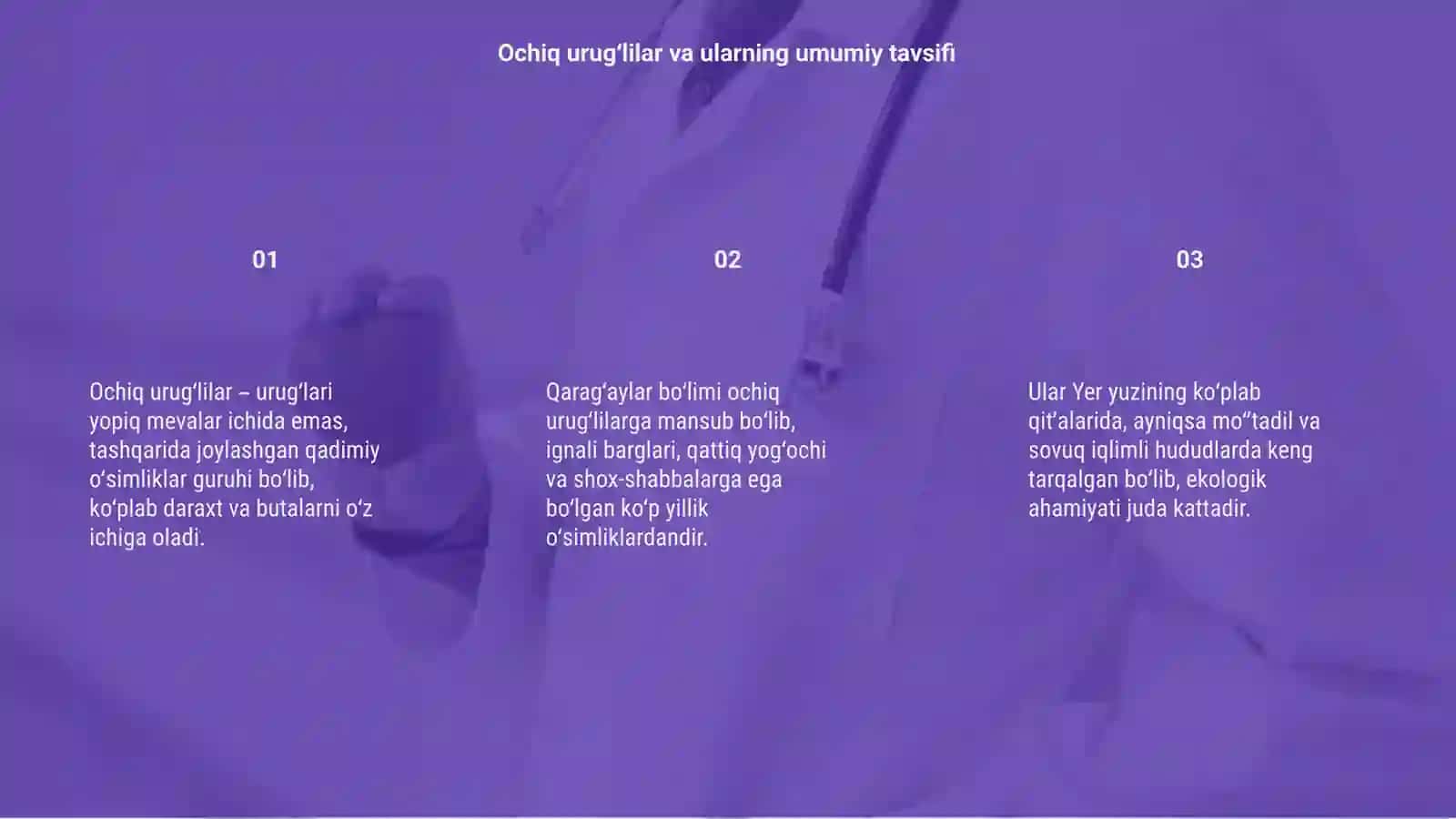 Ochiq urugʻlilar va qaragʻaylar 3