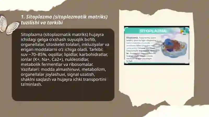 Sitoplazmatik sturukturalarini oʻrganish 3