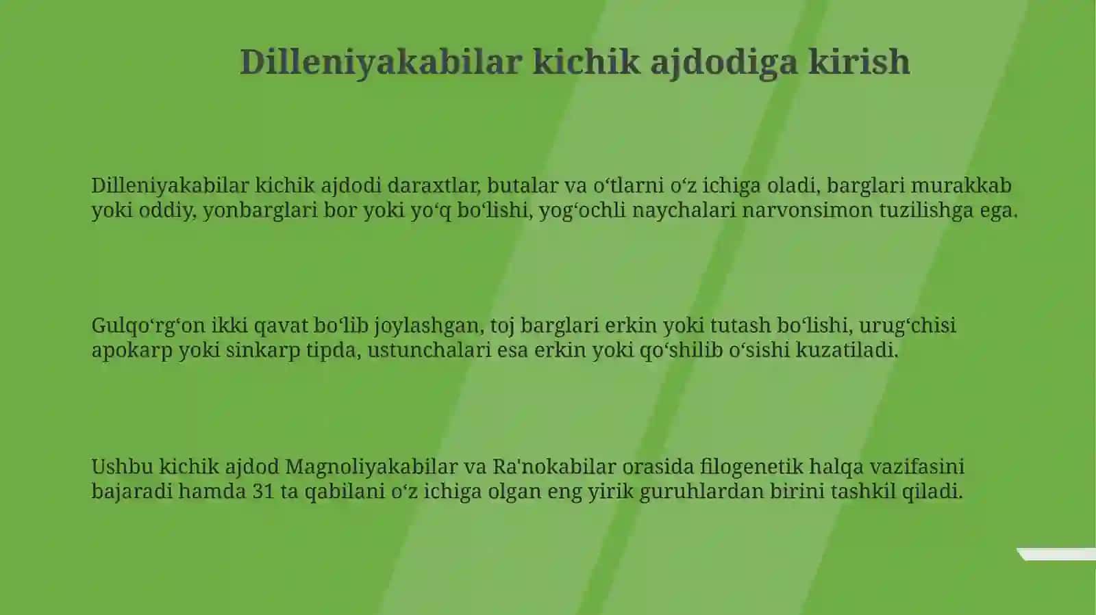 Dilleniyakabilar kichik ajdodi – Dillenidae 3