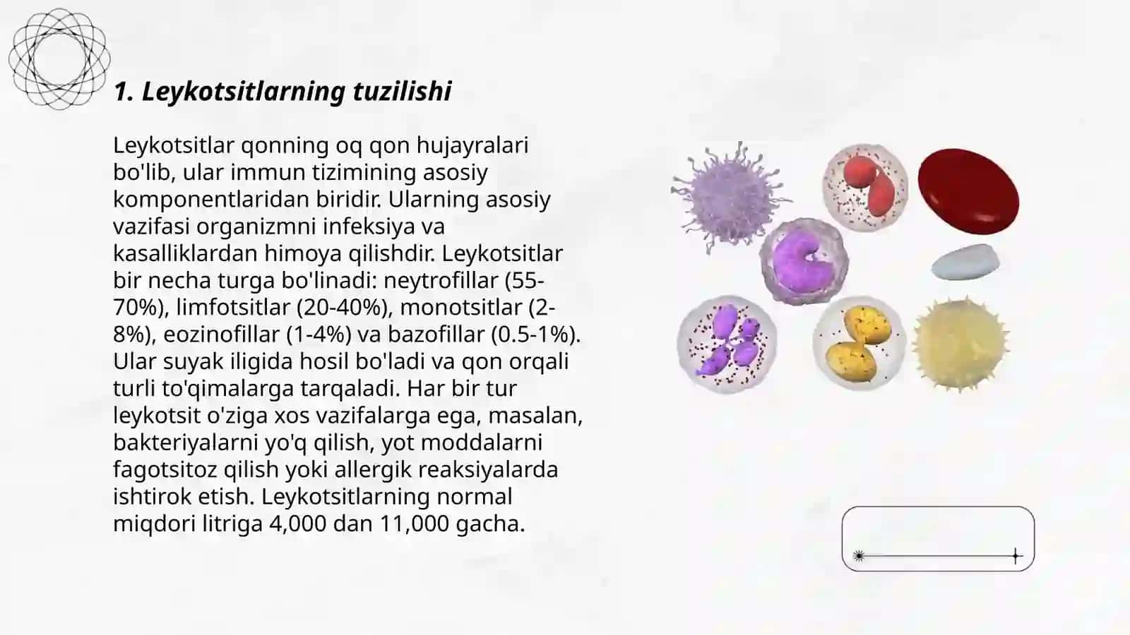 Leykotsitlar 3