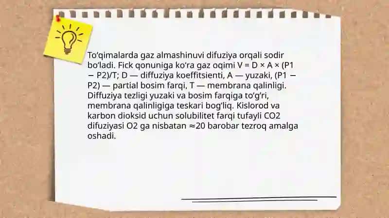 Toʻqimalarda gaz almashinuvi 3