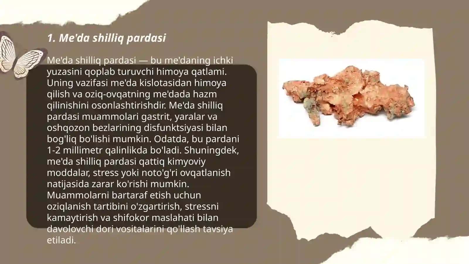 Meda gistalogiyasi 3