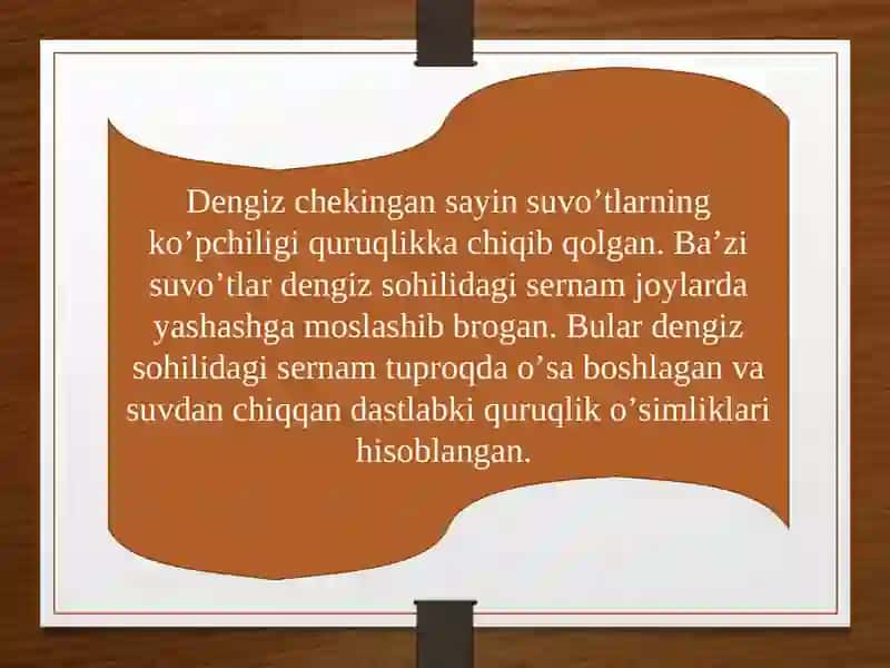 Yerda o’simliklar dunyosining rivojlanishi 3