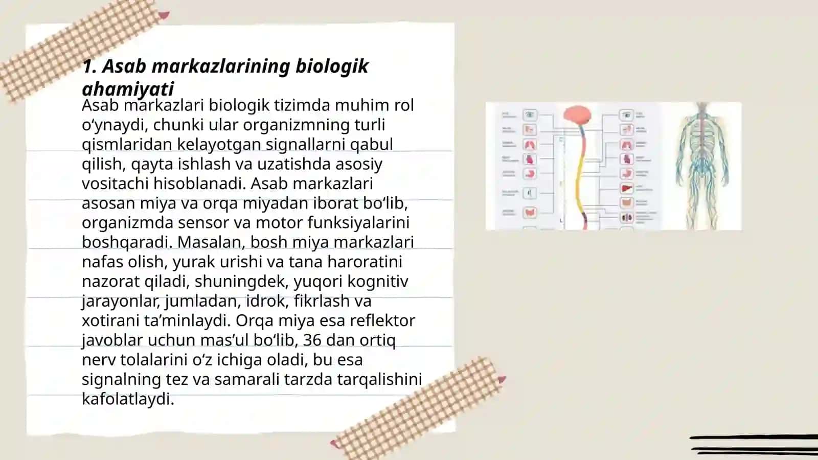 Asab markazlarining o’ziga xosligi 3