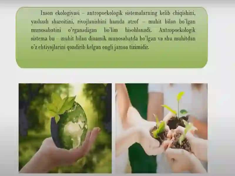 INSON EKOLOGIYASI 3