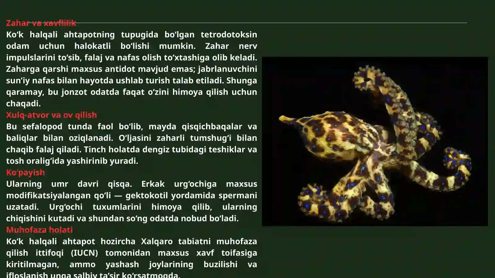 zaharli hayvonlar 3