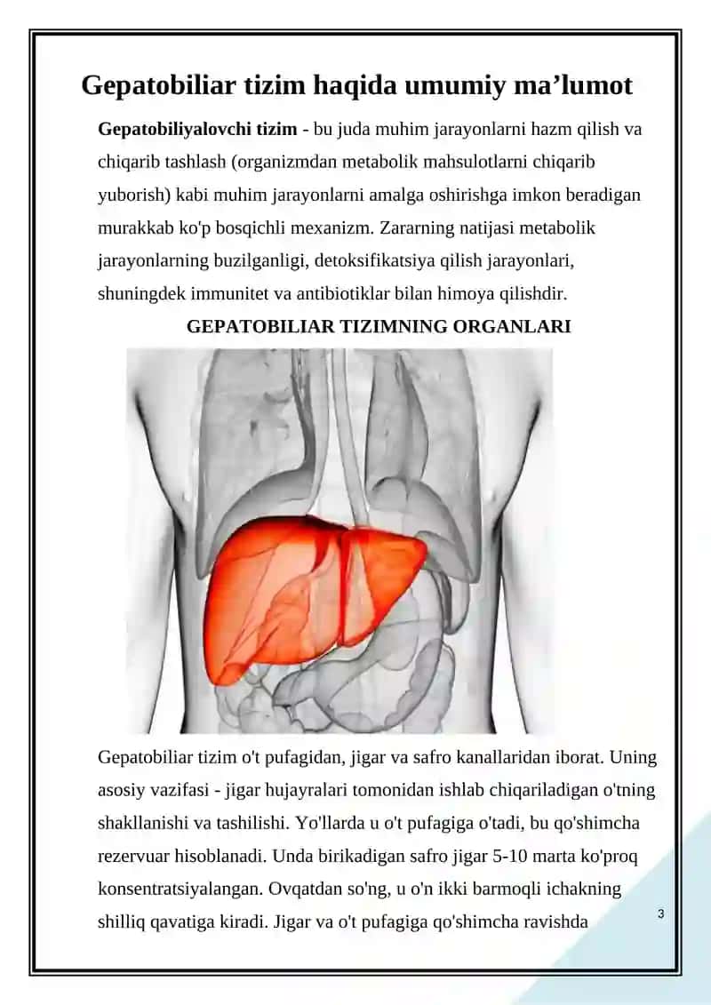 Gepatobiliar tizim kasalliklari 3