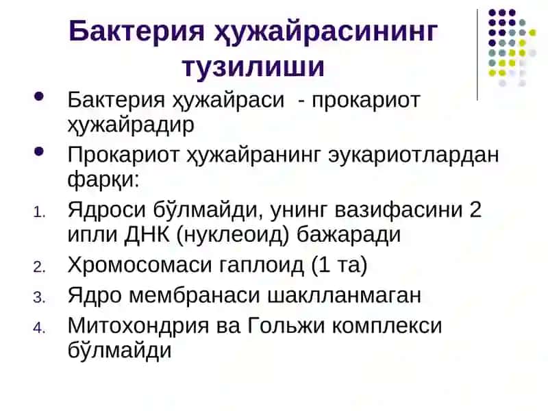 Бактерия ҳужайрасининг тузилиши 3