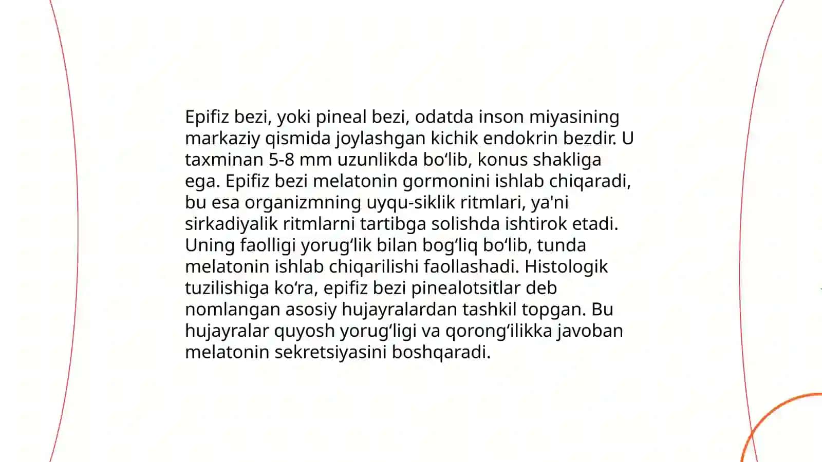 Epifiz bezi 3