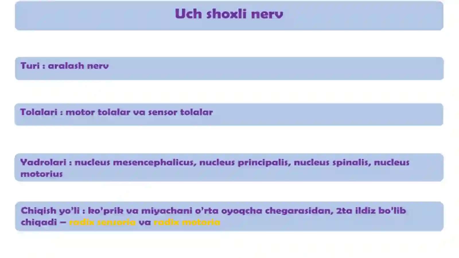 Nervus Trigeminus, uning nevralgiyasi 3