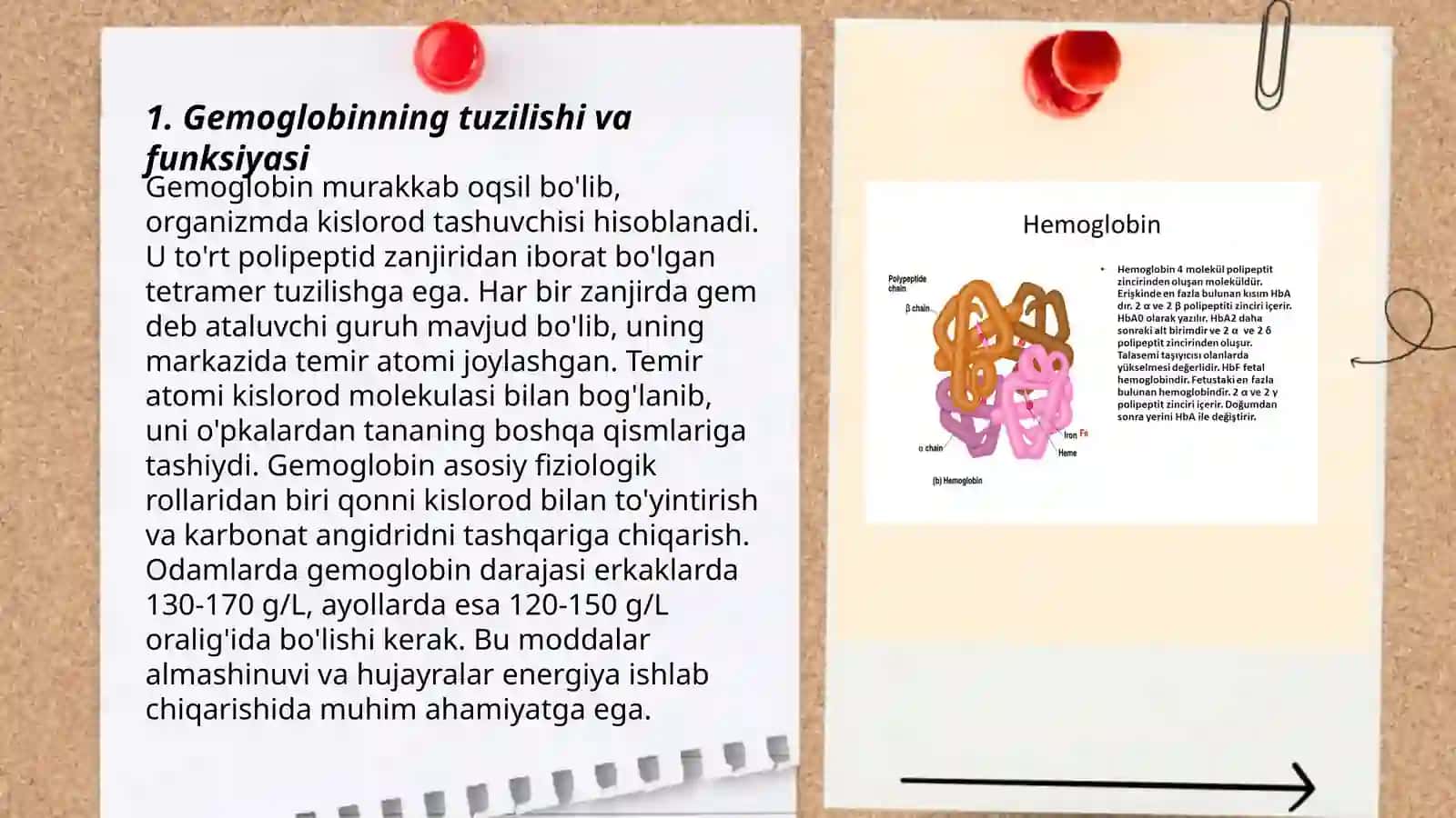 Gemoglobinga oid patofiziologiya 3