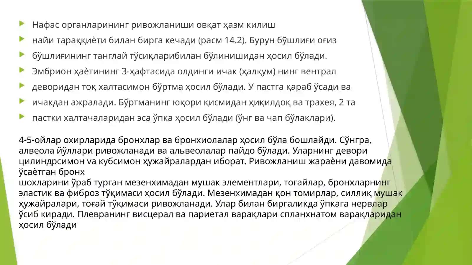 Nafasa‘zosi 3