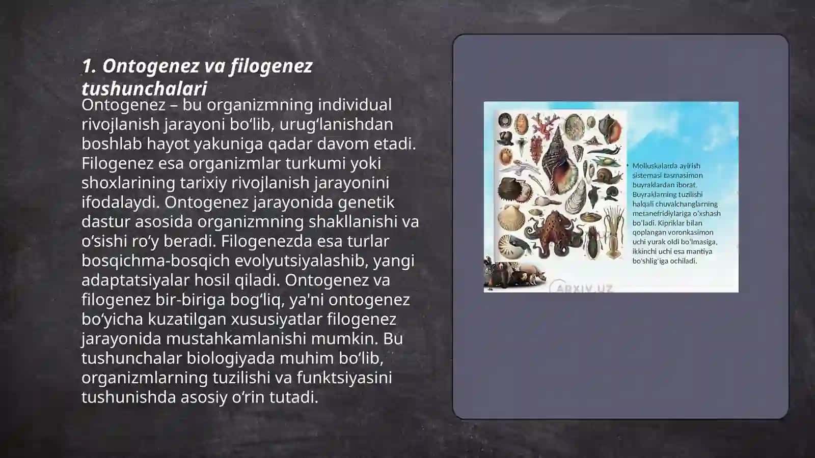 Ayirish tizimi onto-filogenezi 3