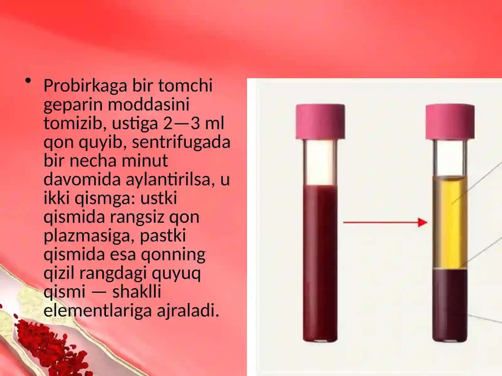 Qonning tarkibi va shaklli elementlari 3