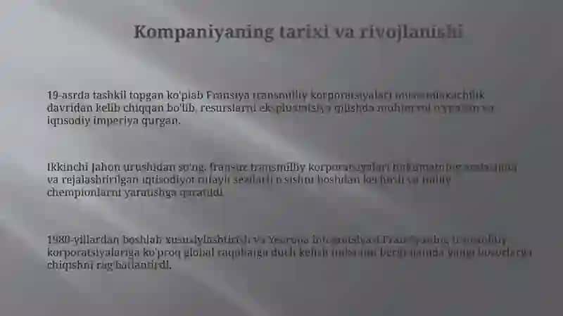 Fransuz transmilliy korporatsiyalari 3