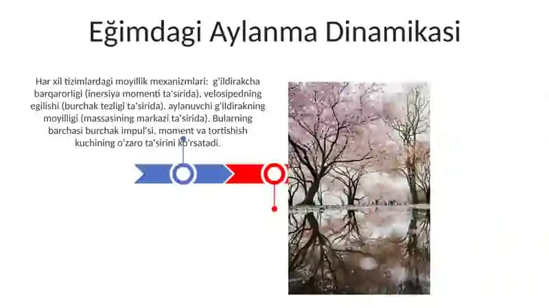 Tilning tabiati va mohiyati 3