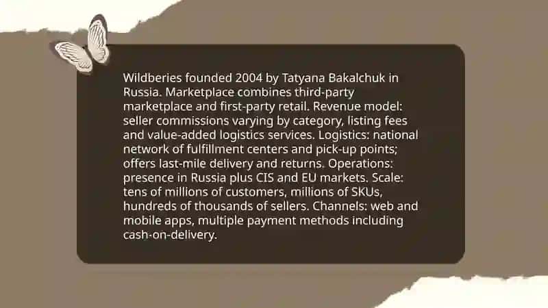 Wildberies Online Marketplace Overview 3