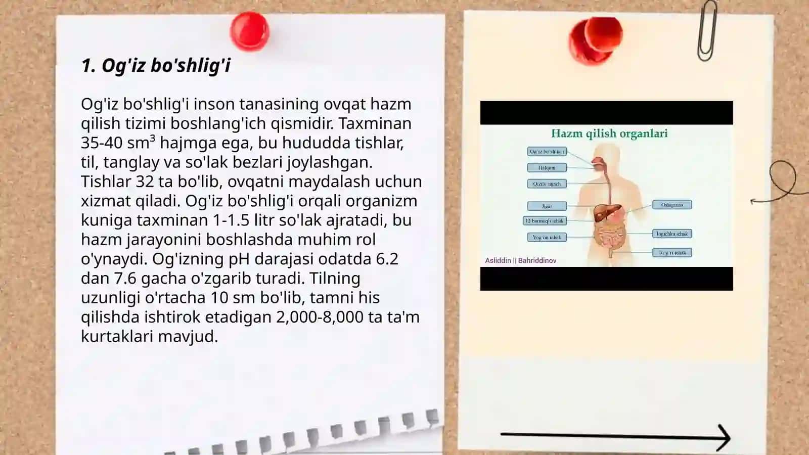 Og'iz bo'shlig'i 3