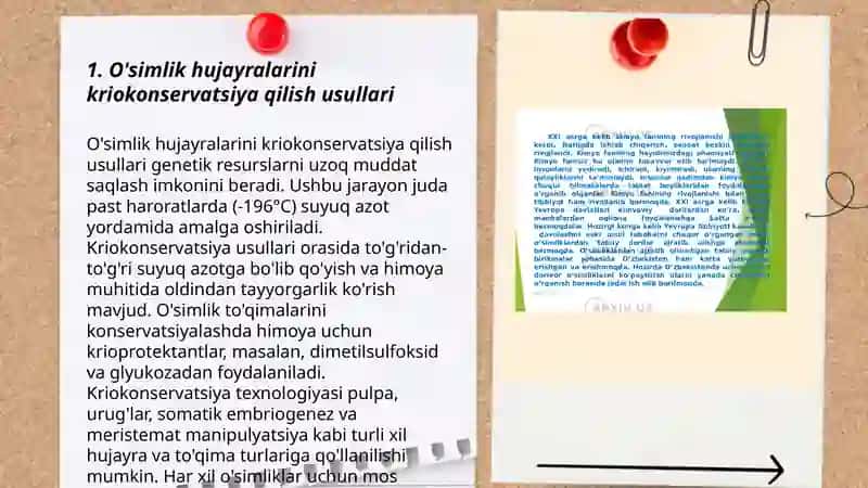O'simliklarni kriokonservatsiya qilish 3