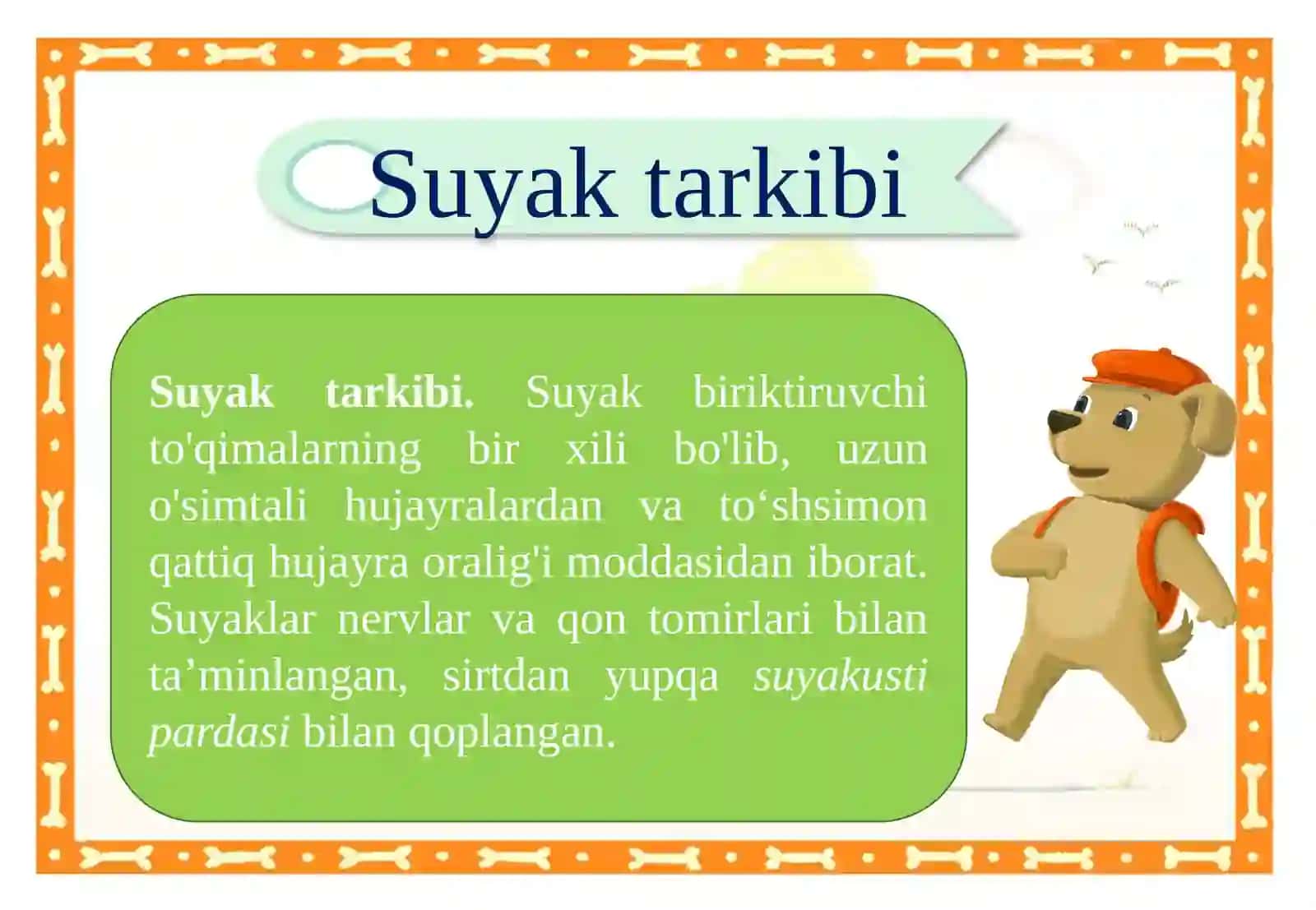 Suyaklarning tuzilishi va o’sishi 3