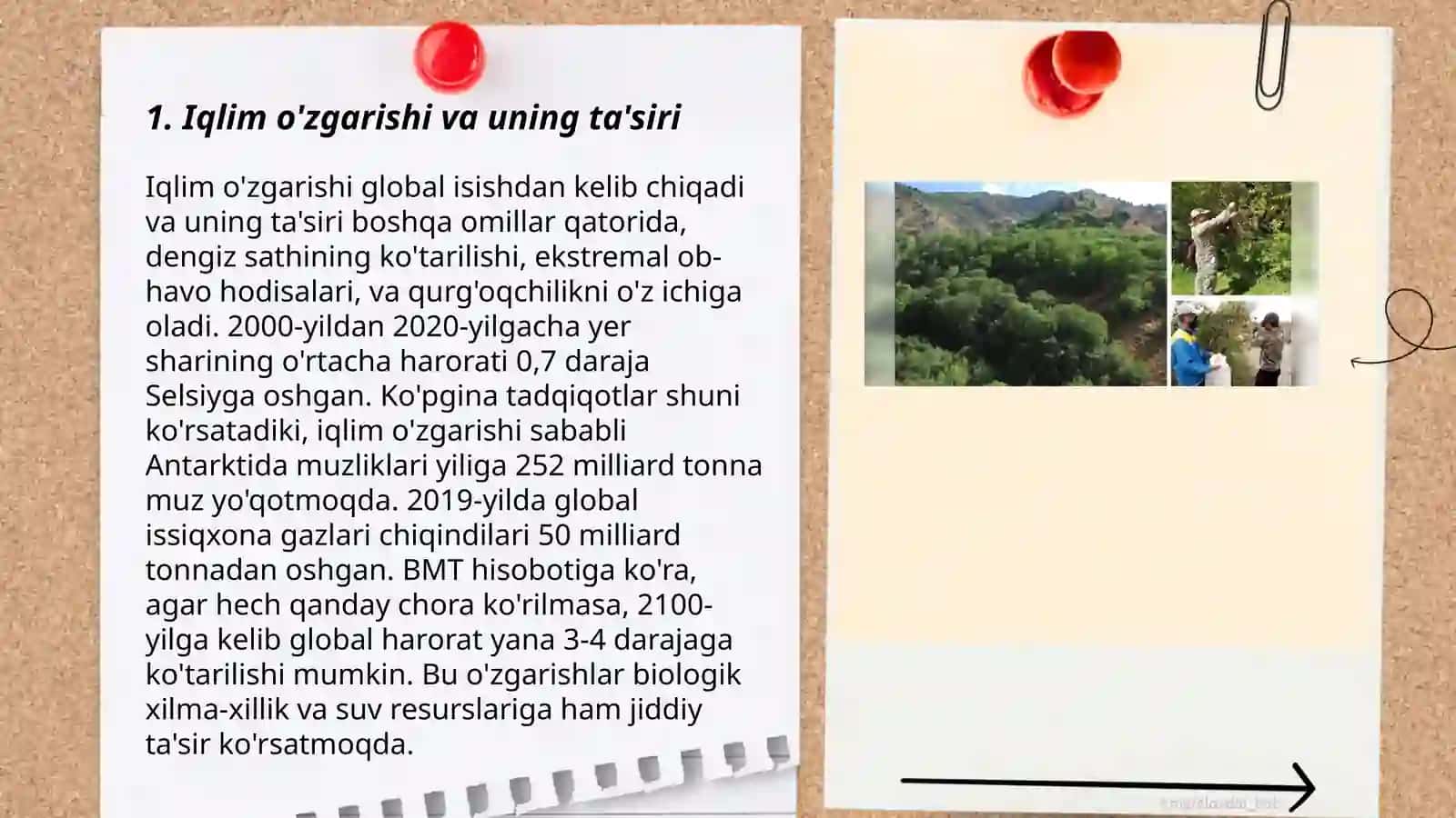 Atrof-muhit muhofazasi 3