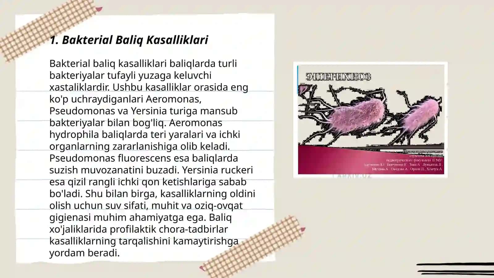 Baliqlarning yuqumli kasalliklari 3