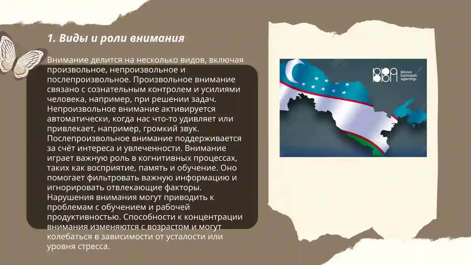 Внимание и ощущение 3