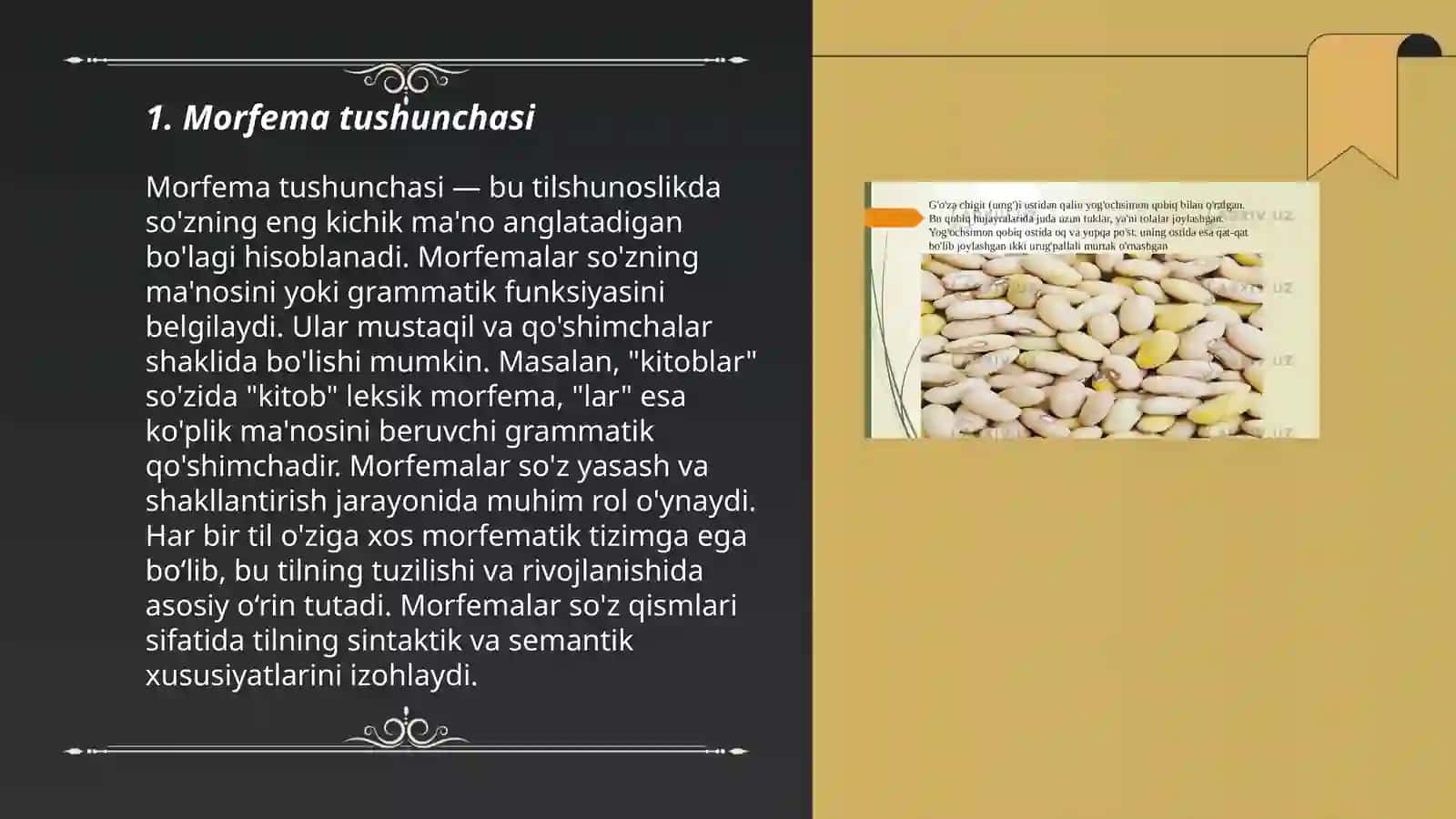 Morfemika va soʻz tuzilishi 3