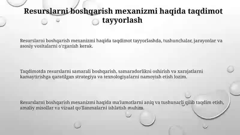Resurslarni boshqarish mexanizmi 3