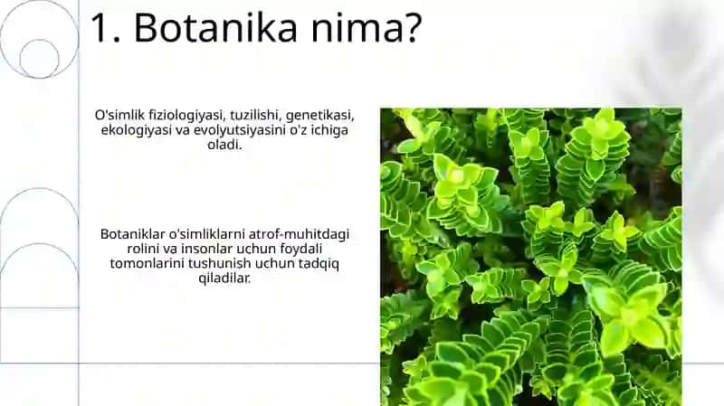 Botanika 3