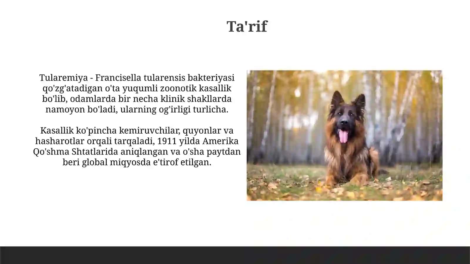 Oʻta xavfliinfeksiyalartulyaremiya 3