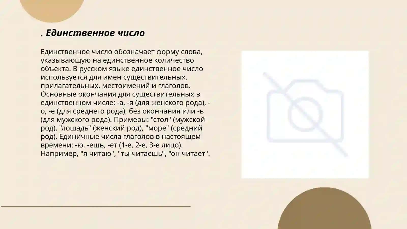 Единственное число 3