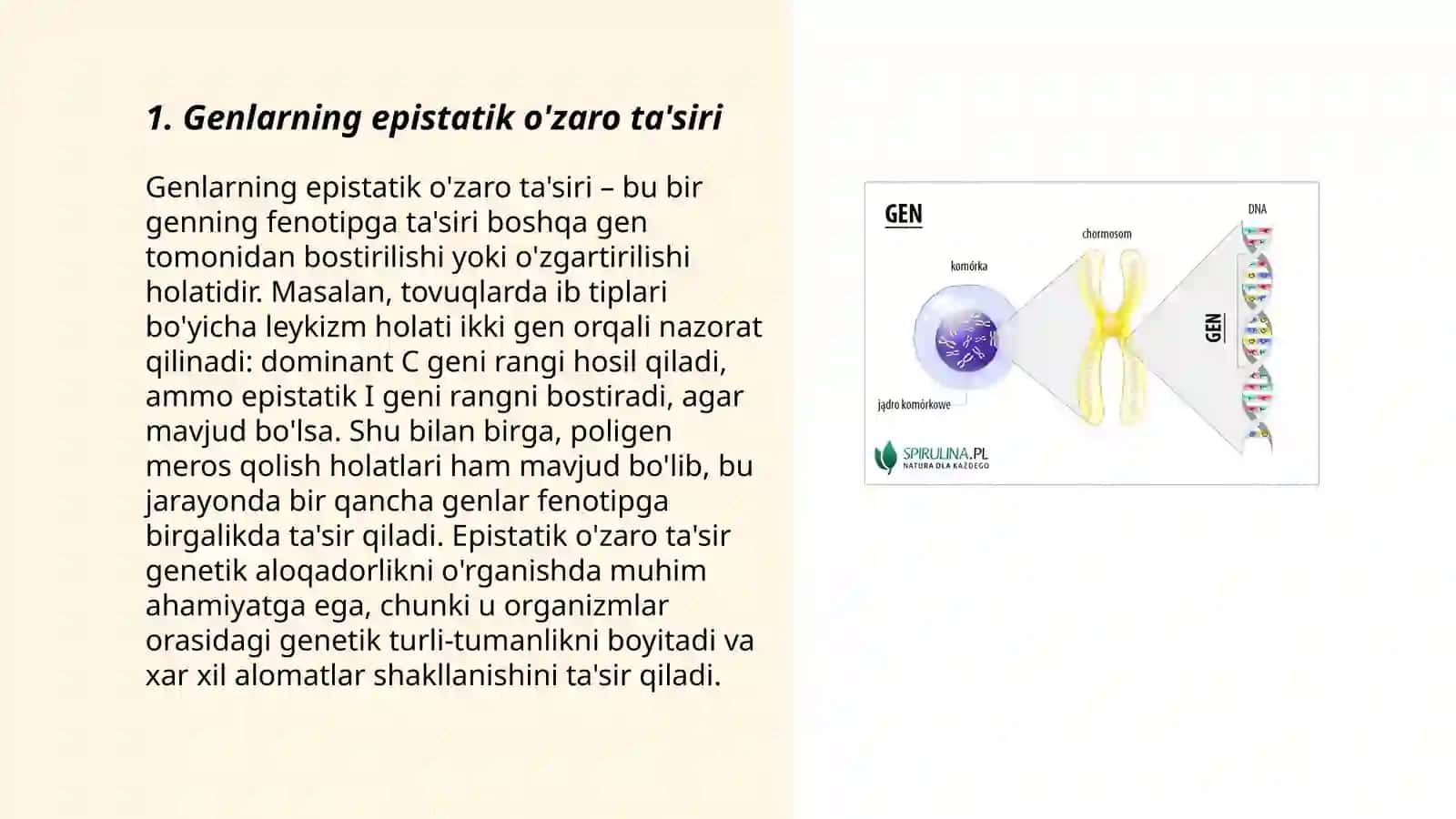 Genlarning epistaz ta'siri 3