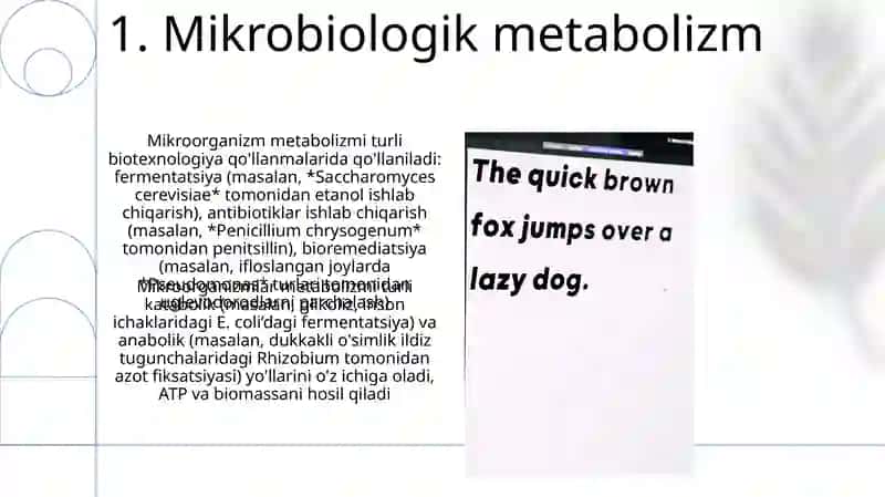 Mikroblar haqida hamma narsa 3