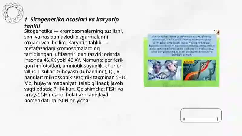 Odamlar genetikasining o'rganish usullari 3