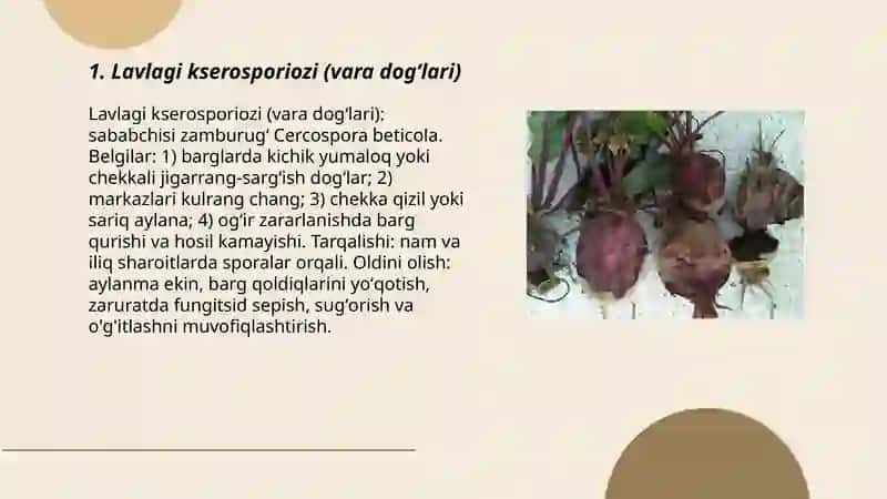 Lavlagi kasalliklari 3