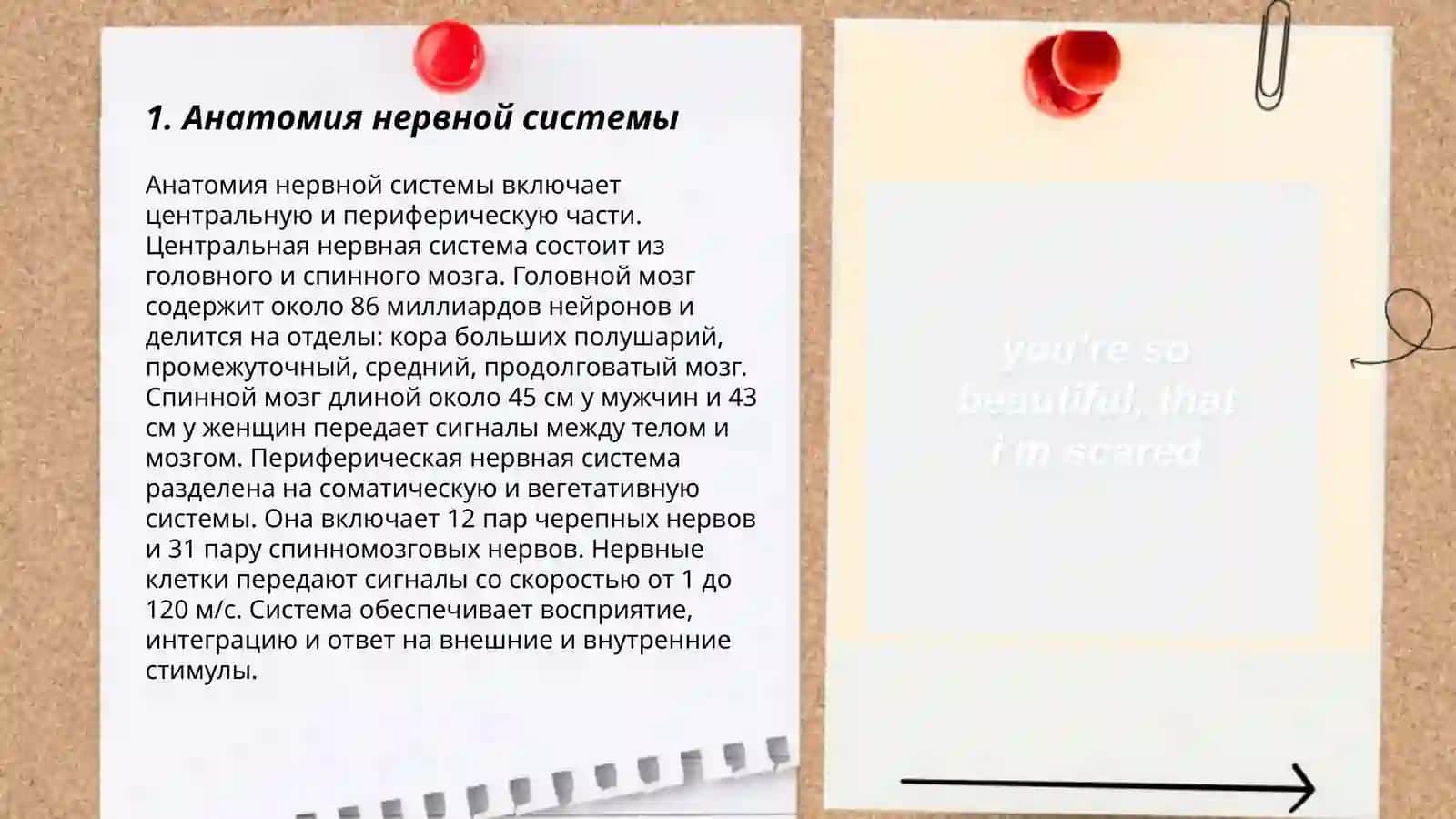 нервная система стили речи 3