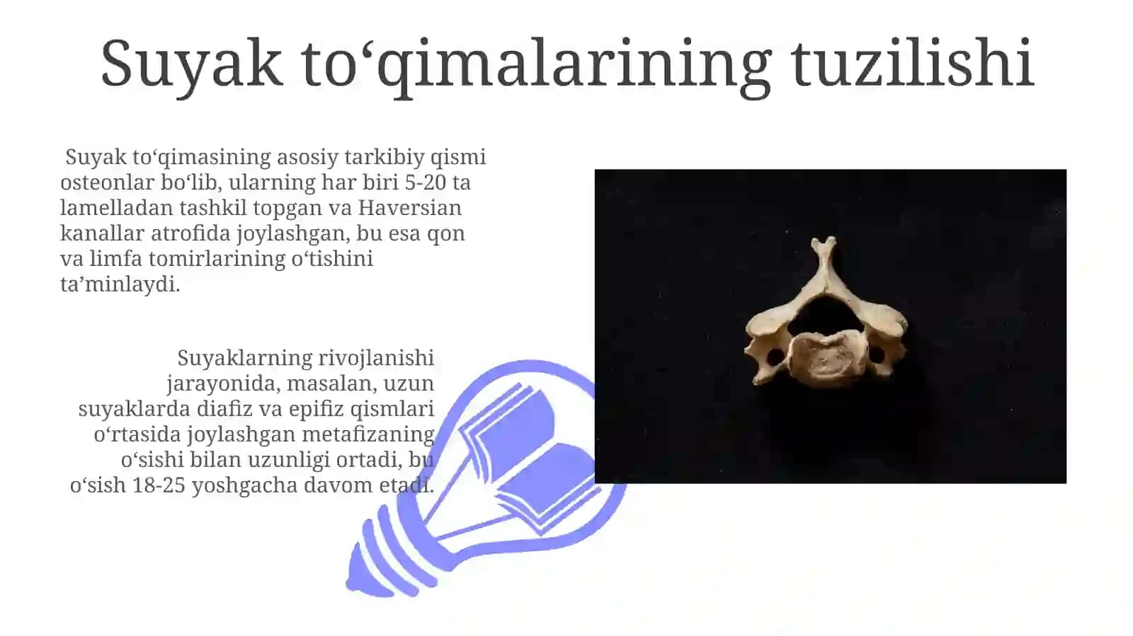 Suyaklarning Rentgen Anatomiyasi 3