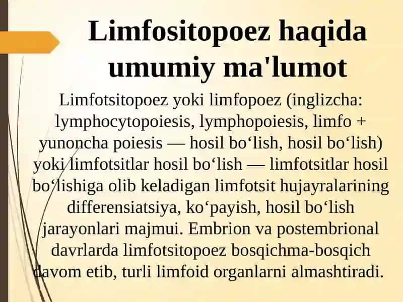 Limfositopoezning xususiyatlari 3