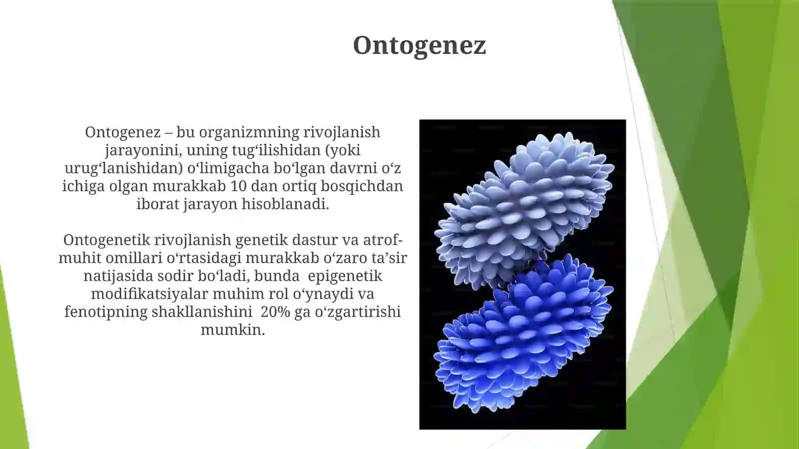 Biologik tushunchalarning xillari 3