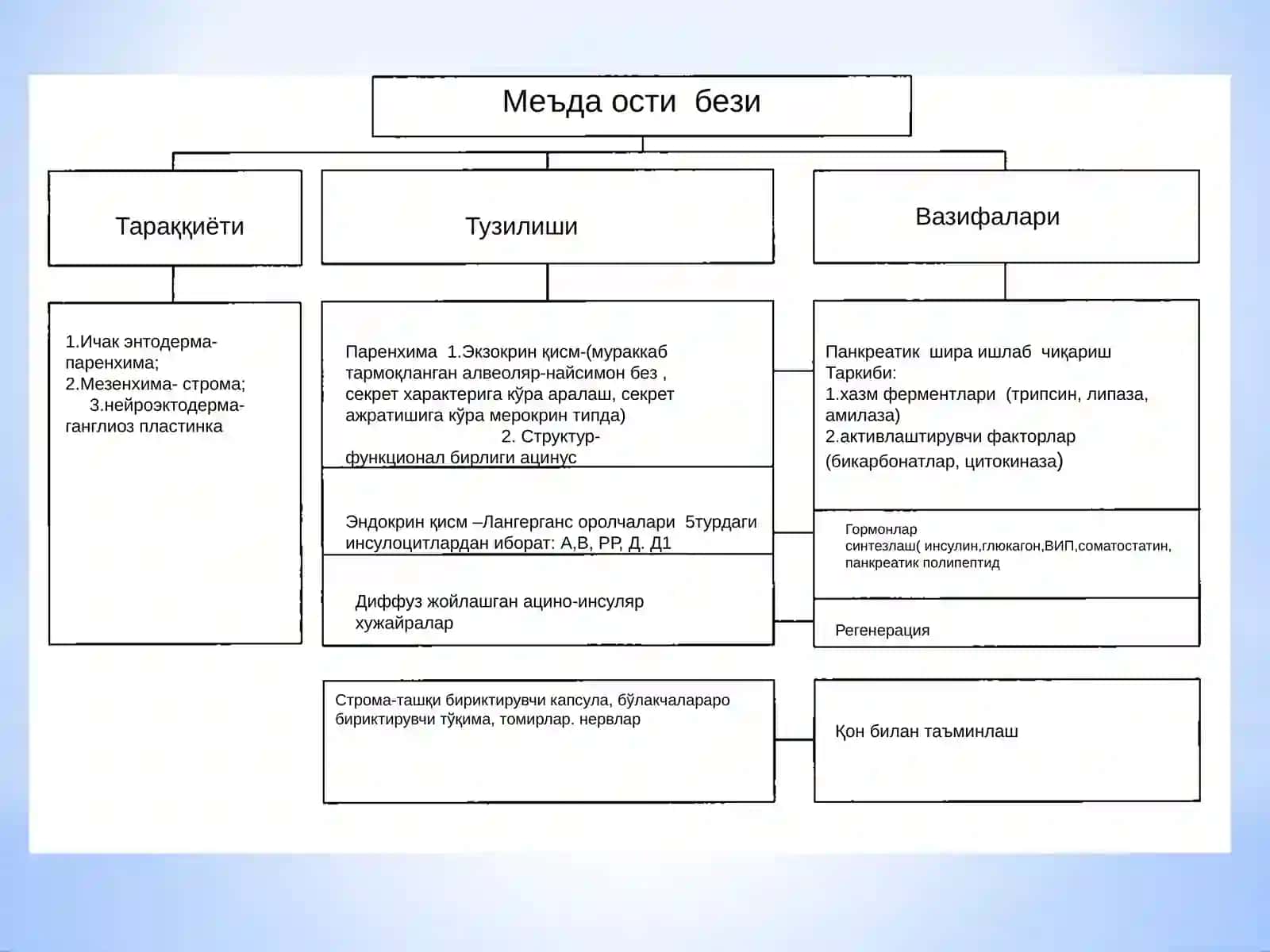 Меъда ости бези тараққиёти 3