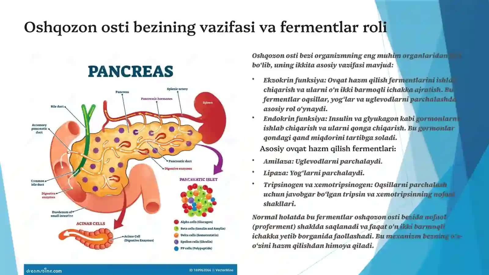 O‘tkir pankreatitning biokimyoviy asoslari 3